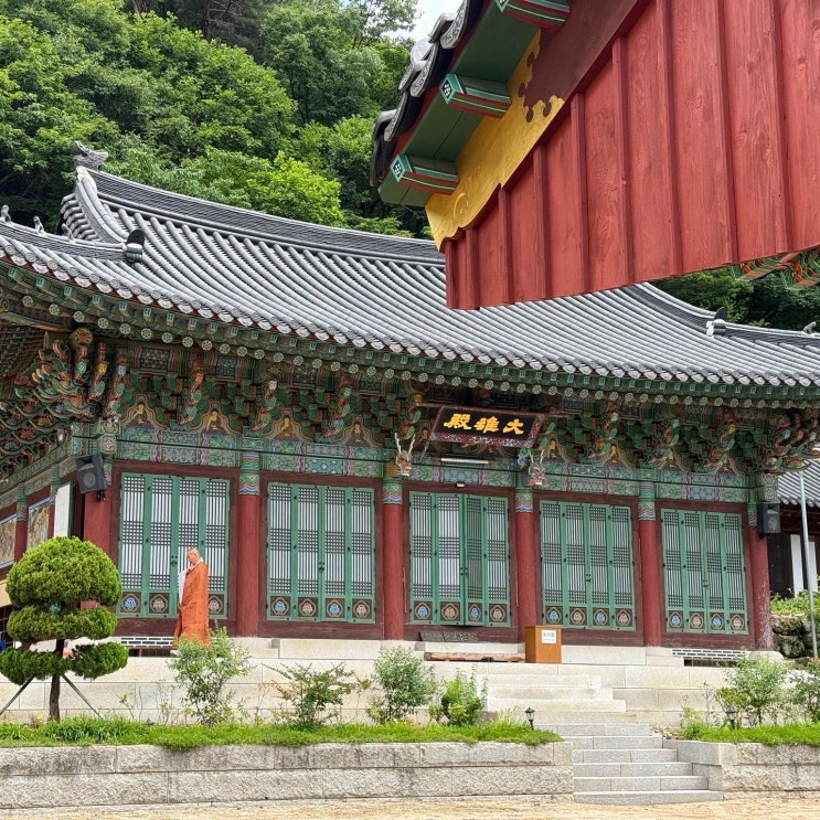 북한산 중흥사 <b>템플스테이</b> 체험형 예약 후기