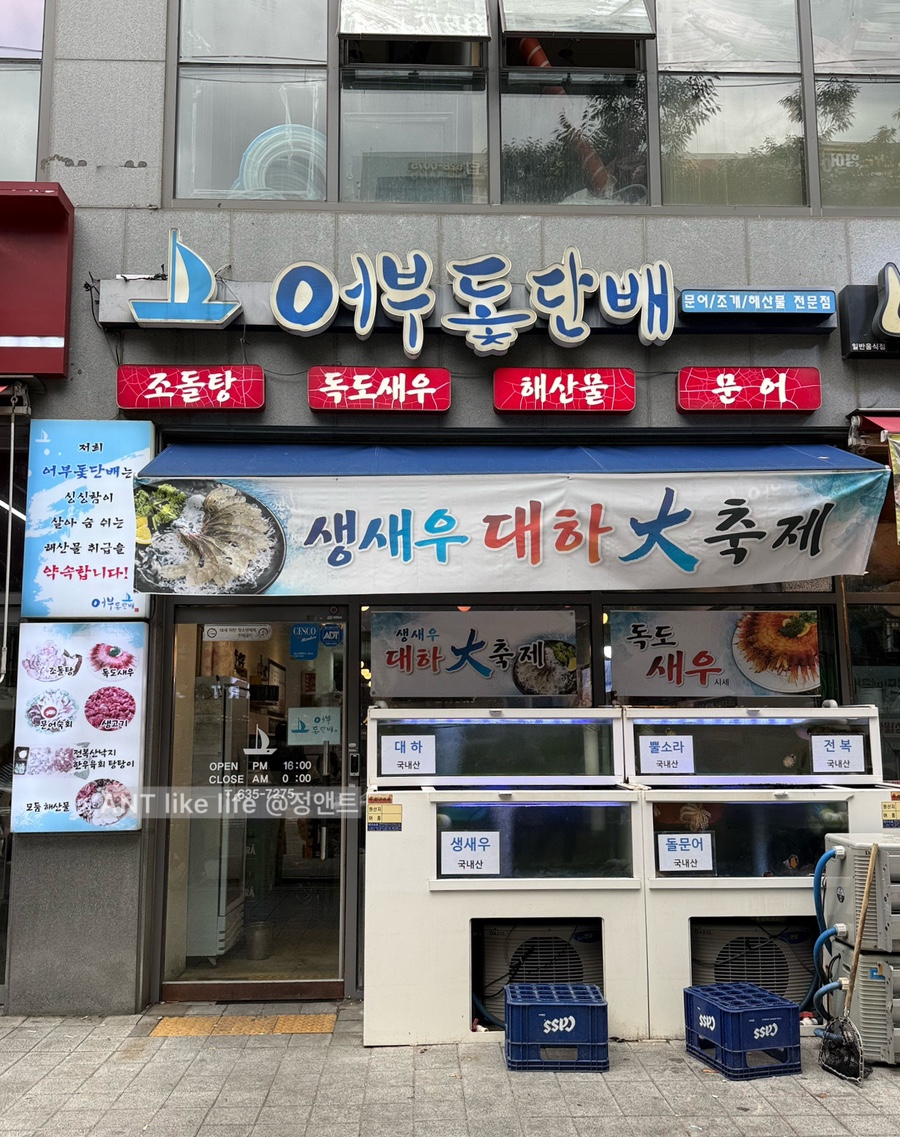 어부돛단배 사진 4
