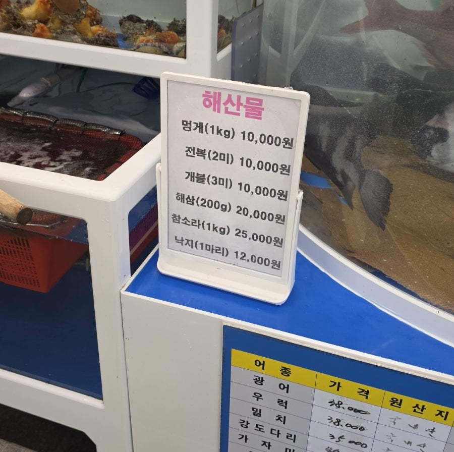 수산소매동 사진 6
