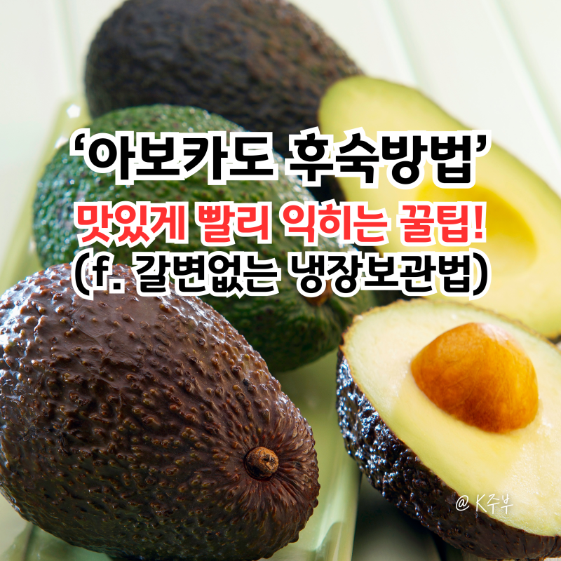 아보카도 후숙 익히는법, 숙성 빨리익히기 꿀팁! (f. 냉장보관 방법)