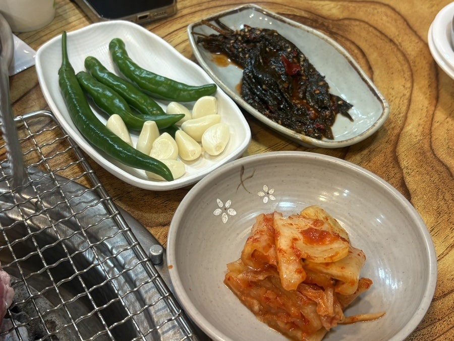 가야갈매기 사진 6