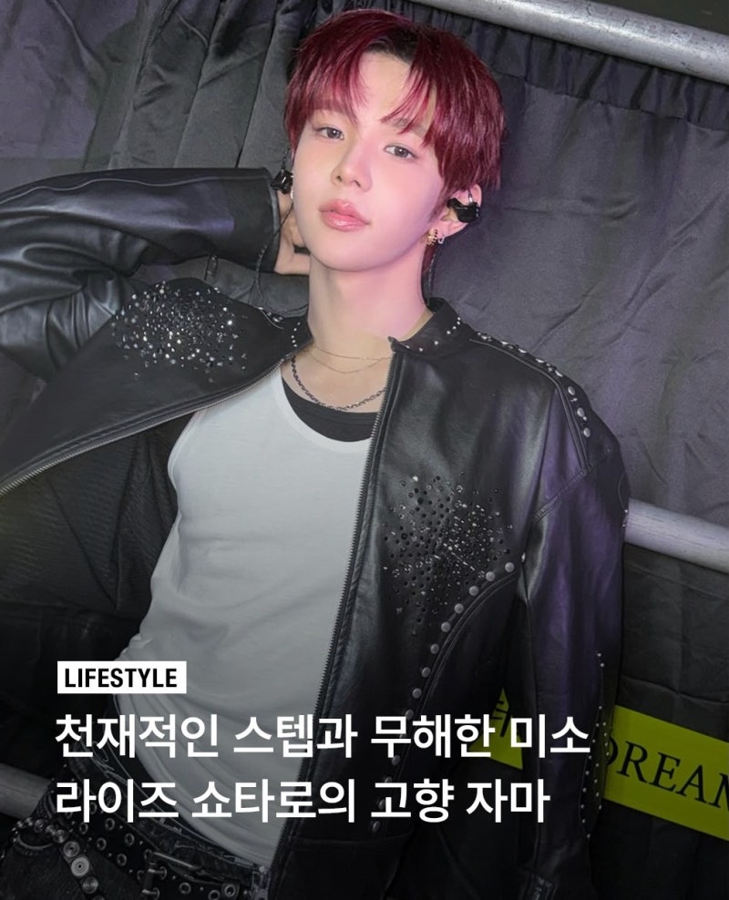 천재적인 스텝과 무해한 미소 사이 라이즈 쇼타로의 고향, 일본 소도시 자마 여행