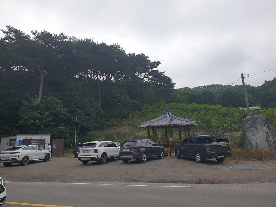 고남저수지 사진 4