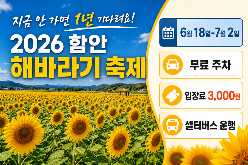 지금 안 가면 1년 기다려요! 2026 함안 해바라기 축제 주차장·주차·가는법 완벽 정리