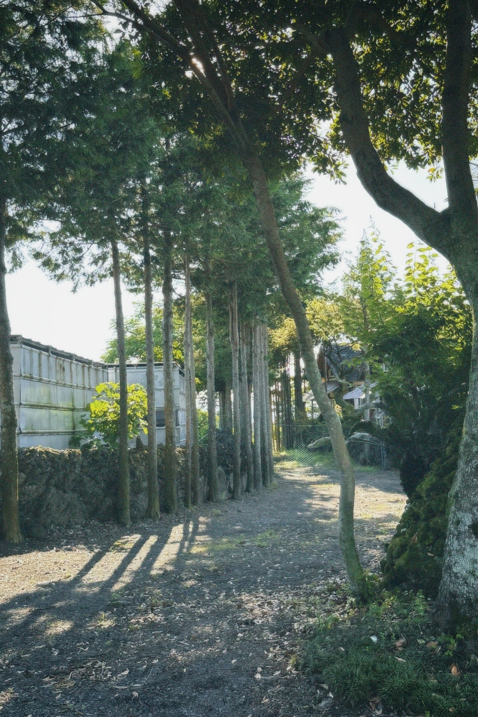 로그맨하우스 사진 2