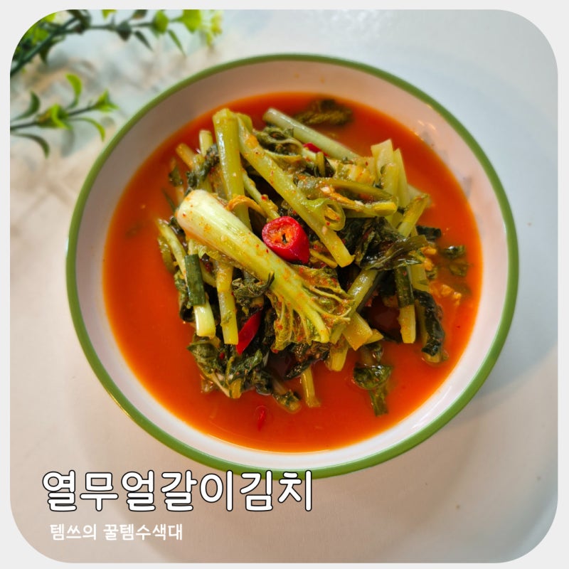 얼갈이열무김치 담그는법 여름 입맛 살리는 열무김치 레시피