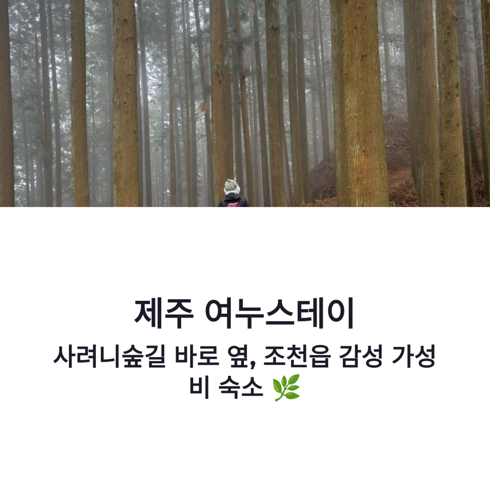 제주 여누스테이 사진 1