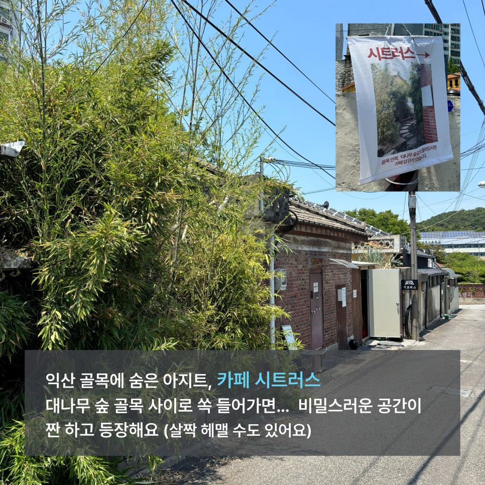 몽헤알 사진 2