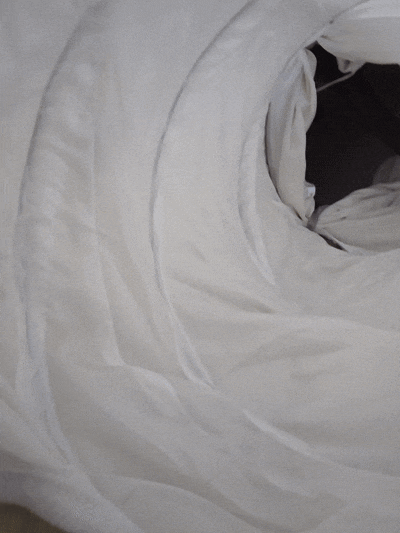 묘메이트 고양이 숨숨집 터널 후기, 캣타워와 연결하니 안 나오는 3살 고양이 레이 후기