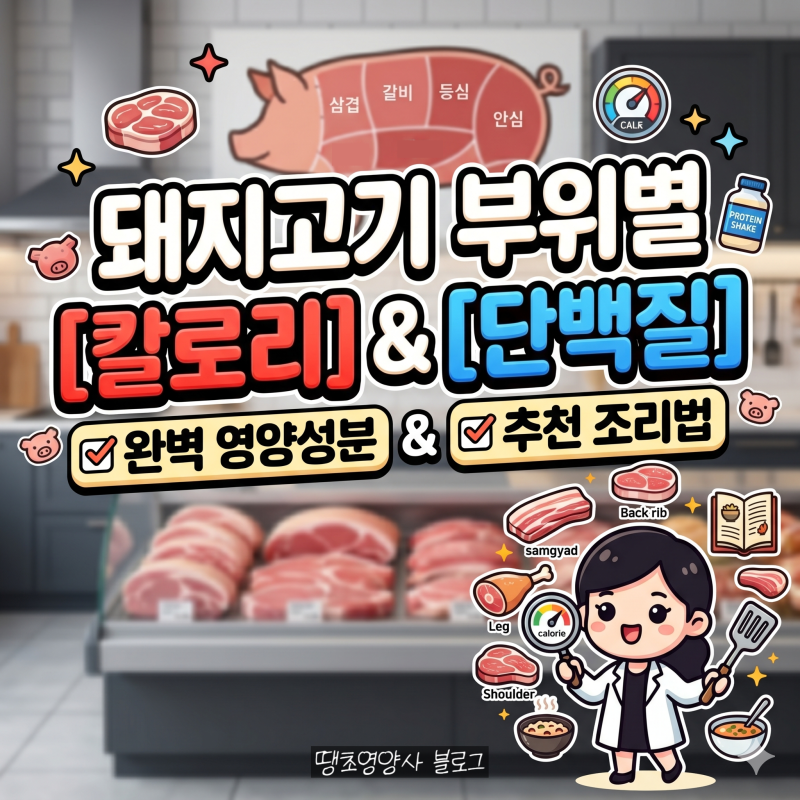 돼지고기 부위별 칼로리&단백질&지방함량/영양성분 (+부위별 추천 조리법)