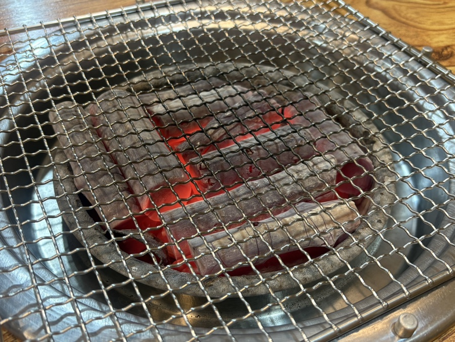 가야갈매기 사진 4