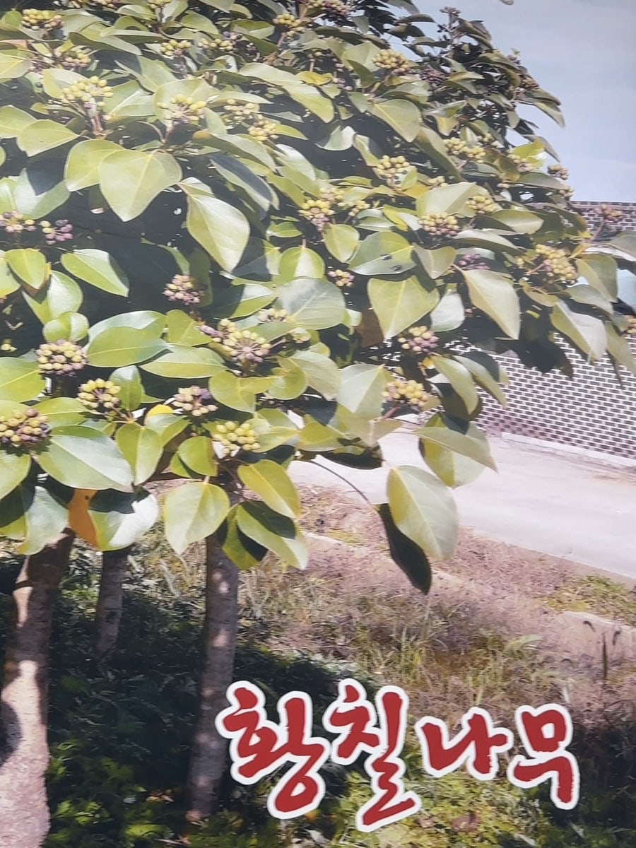 맛고을호남정 사진 4