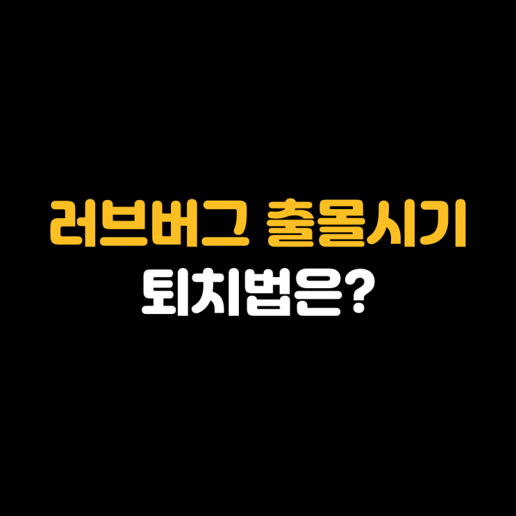<b>러브버그</b> 예방·퇴치 방법, 집안침입 막는 법은?
