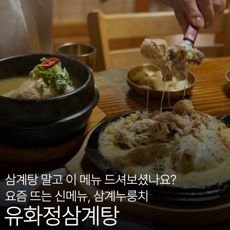 창원 중동 점심 맛집 유화정삼계탕, 여름 보양식으로 딱