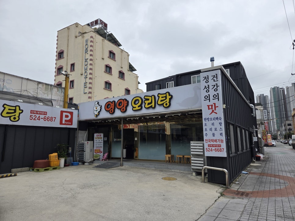 영양오리탕 사진 5