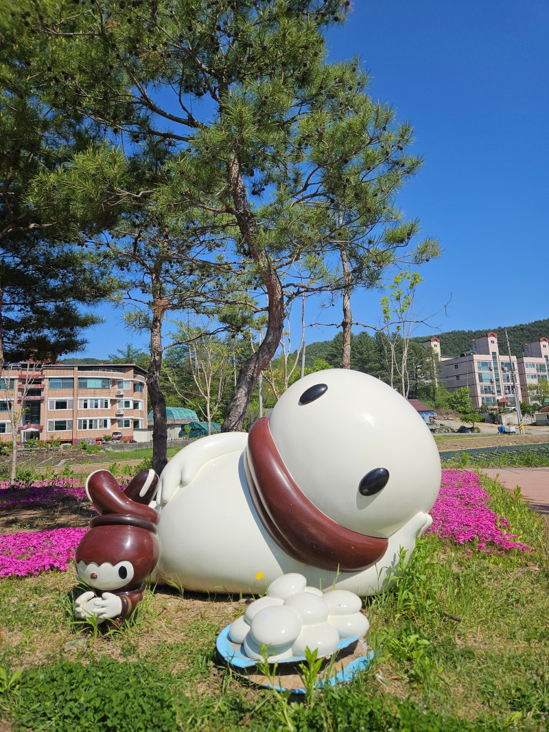 [여행] 260509 우리는 지치지 않습니다 1박 2일 같은 횡성 당일치기 여행 | 국내 여행, 강원도 ....