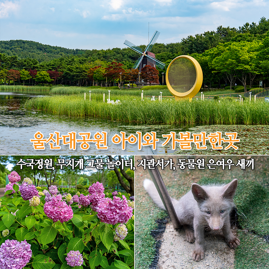 울산 대공원 피크닉장 사진 1