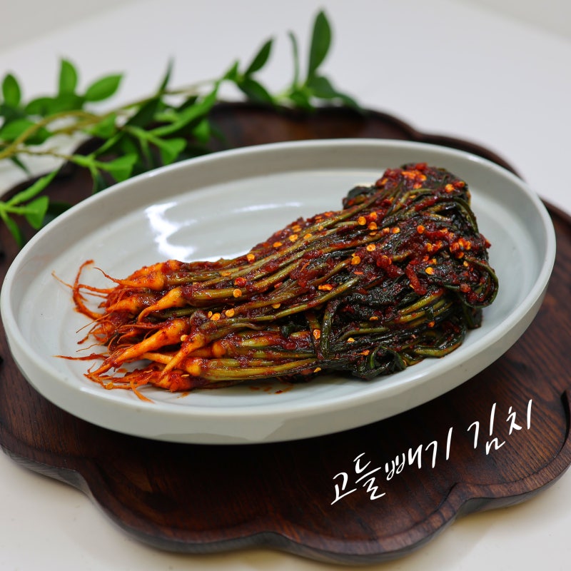 고들빼기 김치 담그는 법 꼬들빼기 무침 진한 양념 만드는 법