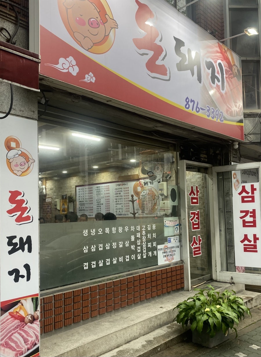 돈돼지 사진 2