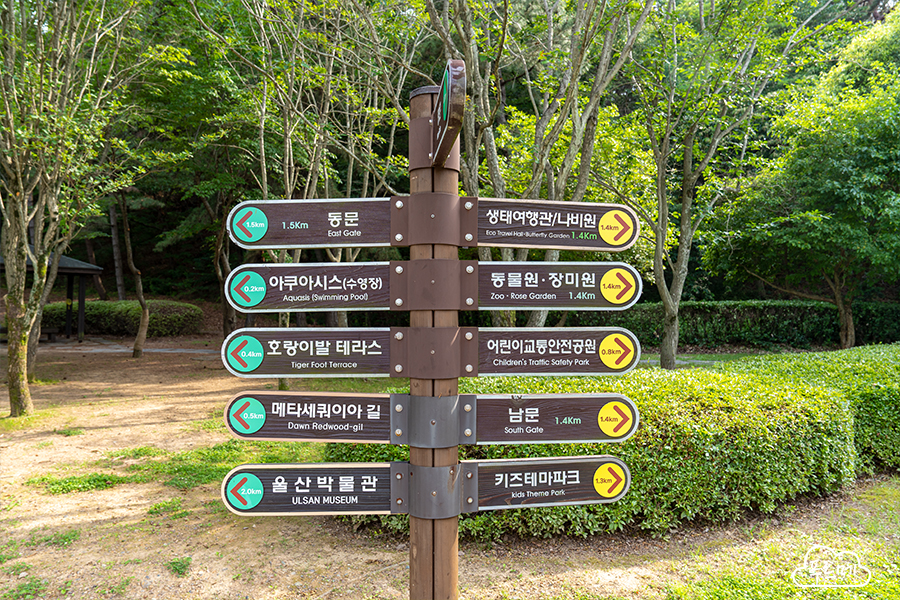 울산 대공원 피크닉장 사진 6