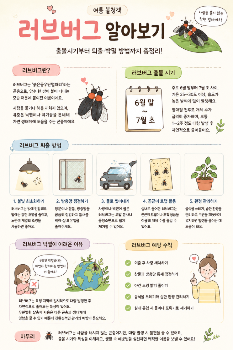 <b>러브버그</b> 출몰시기부터 퇴출... 여름철 불청객 <b>러브버그</b>... 