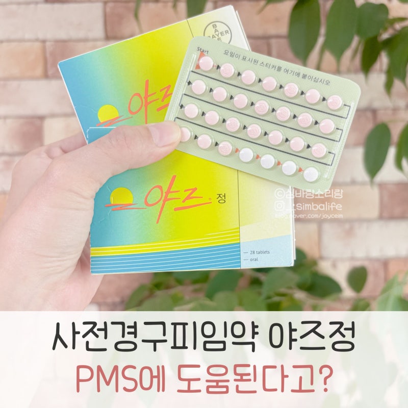 야즈정 먹게 된 계기. 생리전증후군 PMS약 사전경구피임약