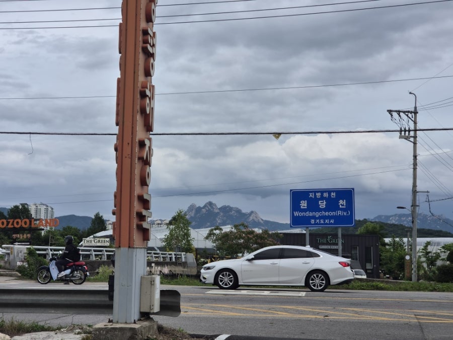 양평해장국 벽제점 사진 5