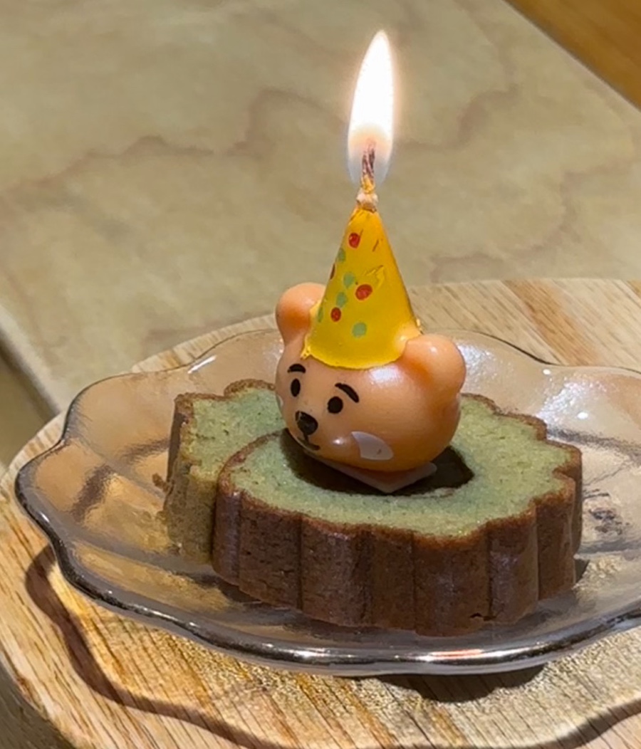 호시아카리 사진 4