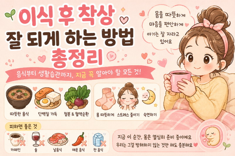 이식 후 착상 잘 되게 하는 방법 총정리 – 음식부터 생활습관까지, 지금 꼭 알아야 할 모든 ....
