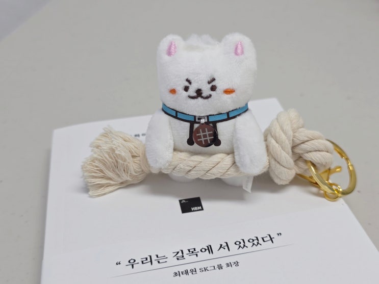 대장주 바뀌었다... 삼성전자 넘은 SK<b>하이닉스</b>, 더 오를까 꺾일까