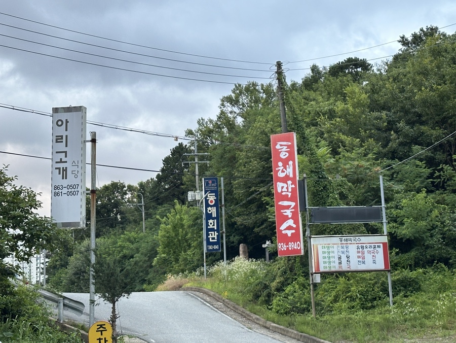 메밀향 사진 1