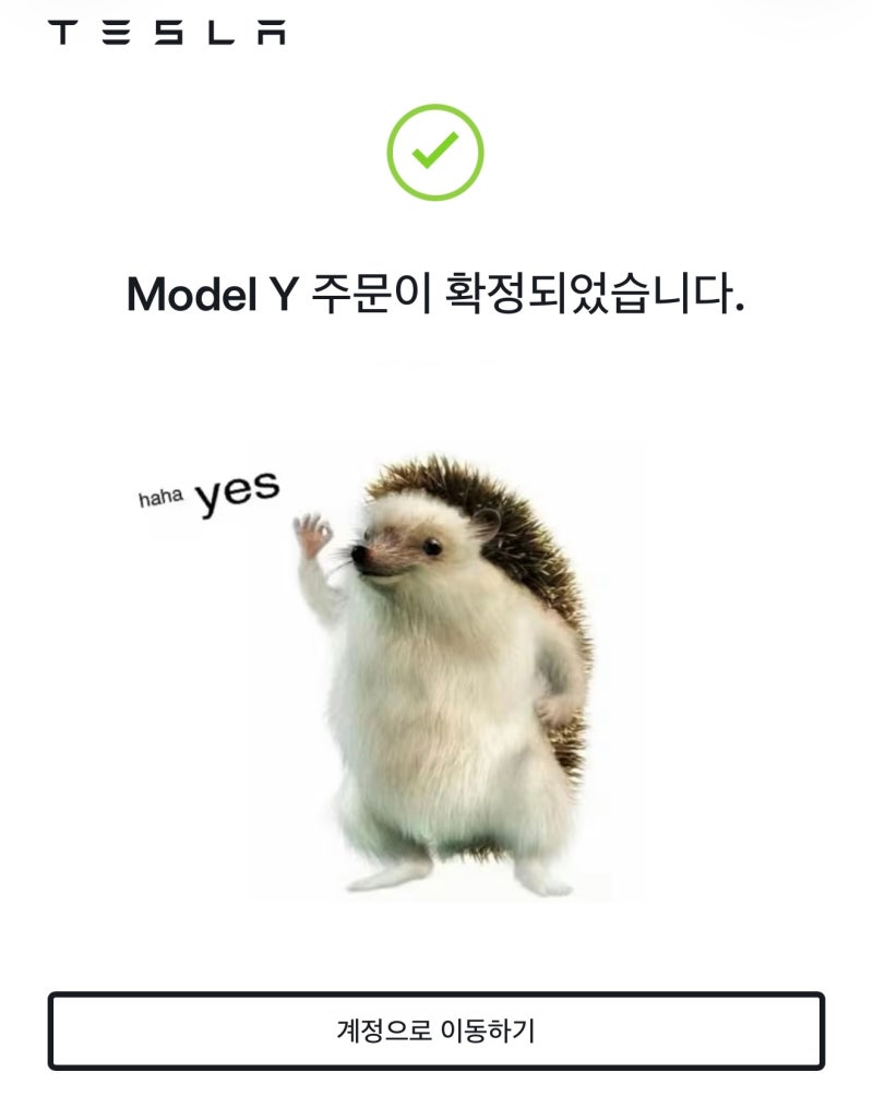 테슬라 모델Y 구매 방법, 계약부터 인도까지 셀프 진행 과정 총정리