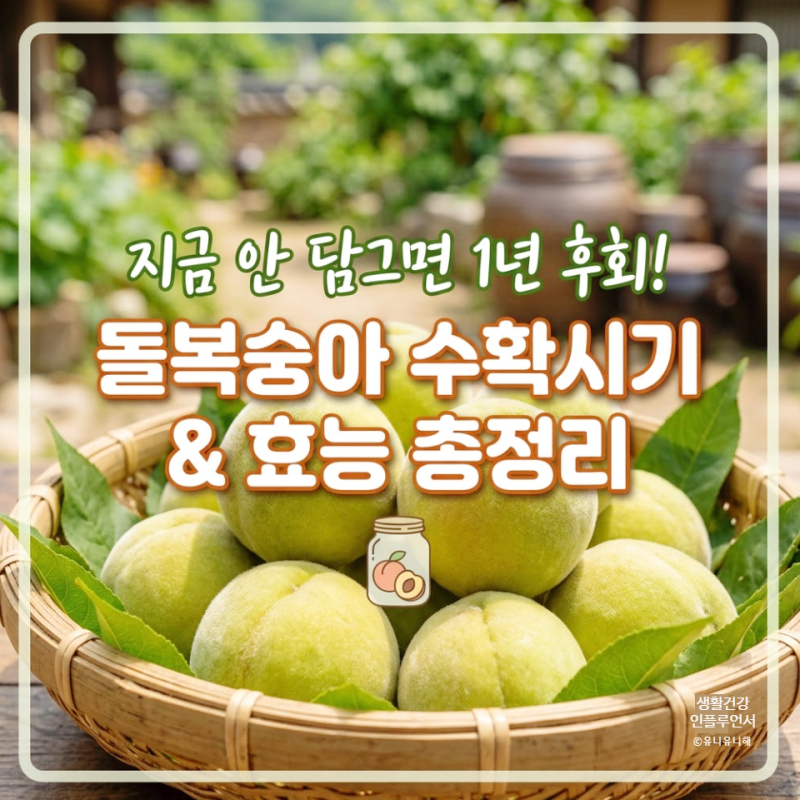 돌복숭아 효능 개복숭아 수확시기, 솜털지옥 탈출하는 세척법과 액기스 비율