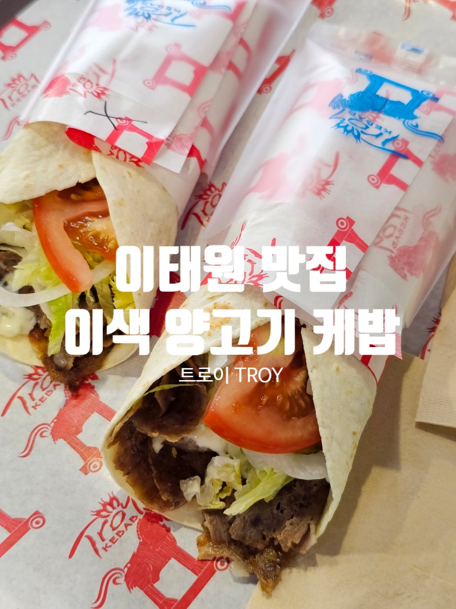 트로이 사진 1