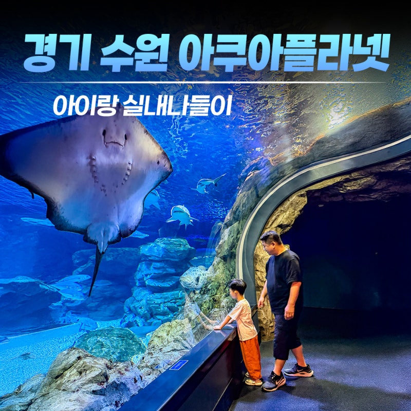 경기 수원) 아쿠아플라넷 광교 아이와 실내 나들이 후기｜주차·할인·체험까지
