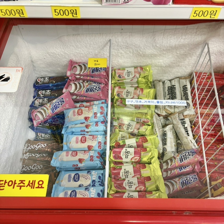 아이스캔디 사진 5