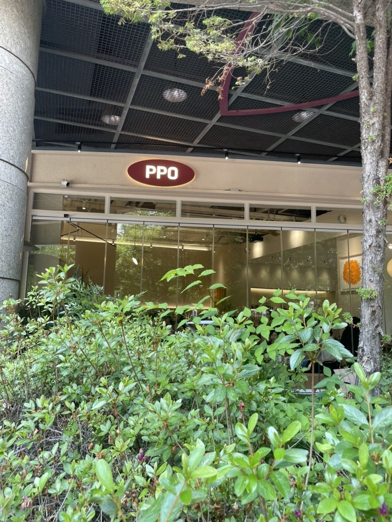 Ppappiyong photo 4