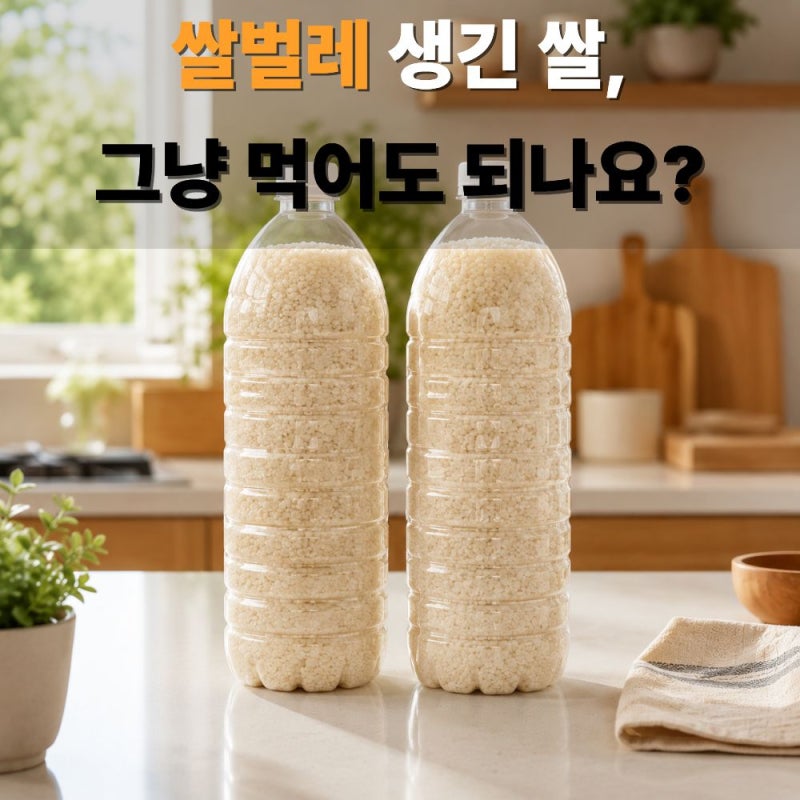 여름철 쌀벌레 없애는법, 화랑곡나방 애벌레 퇴치 및 생긴 쌀 먹어도 되나요?