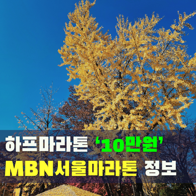 하프마라톤 '10만 원' 시대, 2026 MBN 서울마라톤 참가비·기념품 및 런잇 사전 가입 안내