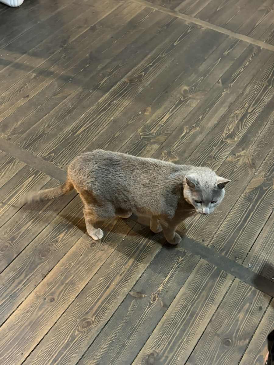 산앤들 사진 6