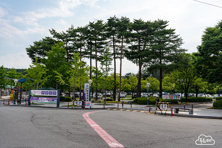 울산 대공원 피크닉장 사진 3