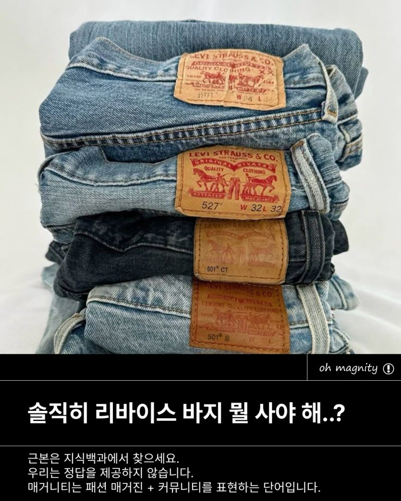 [매거니티] 리바이스 넘버링 정리해줄게