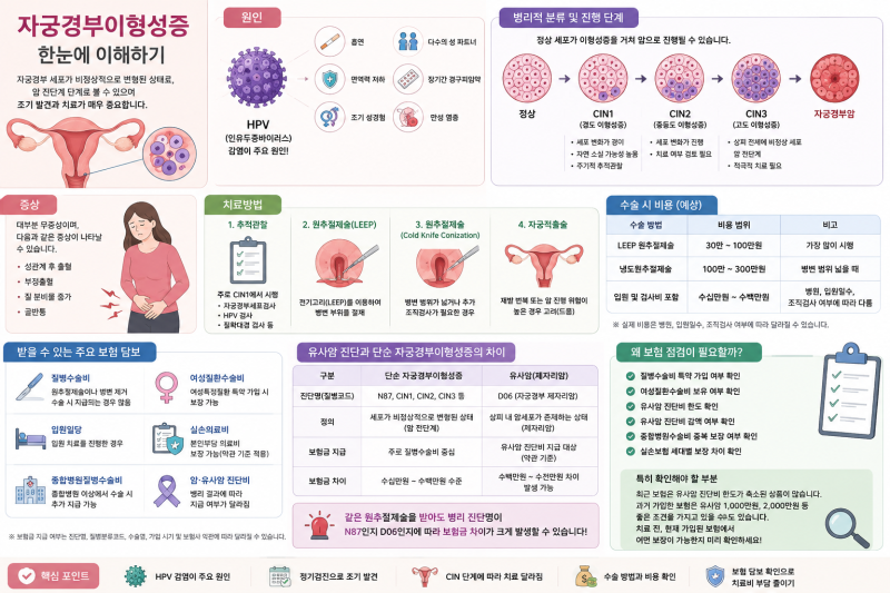 자궁경부이형성증, 꼭 알아야 할 정보와 보험 점검이 필요한 이유
