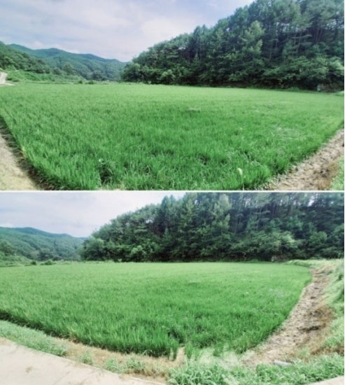 한골 사진 2
