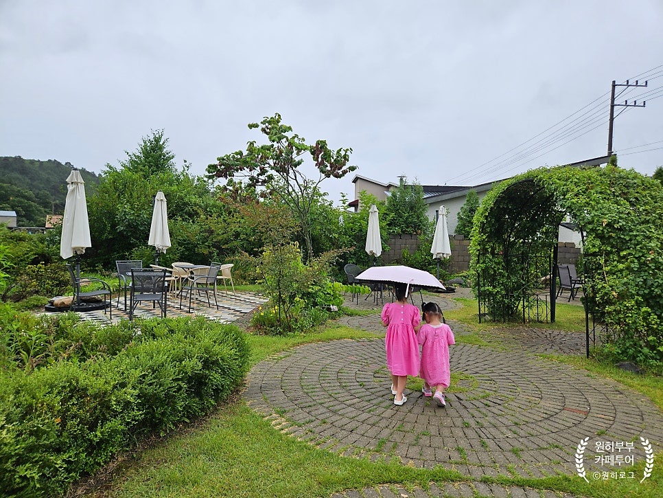 세이렌 사진 5