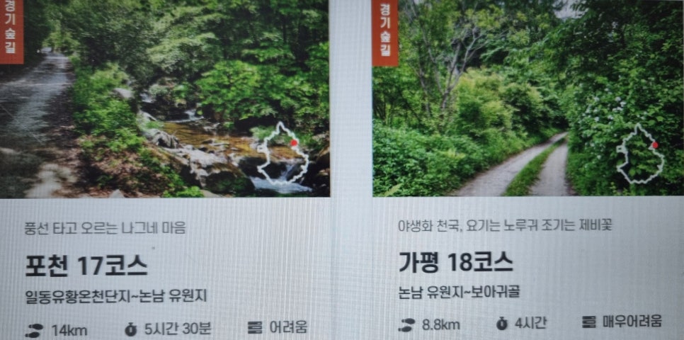 임산계곡 사진 2