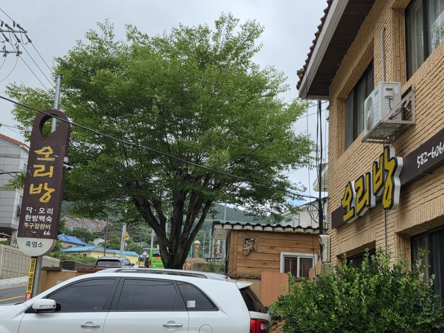 오리방 사진 3