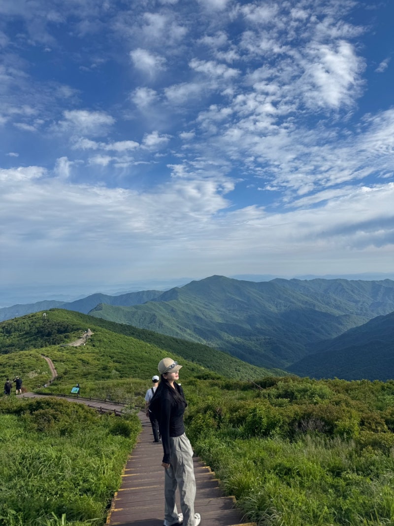 구례 지리산 노고단(1,507m) 여름 방문 등산코스 예약 시간 난이도 초보자 매우가능 성삼재휴....