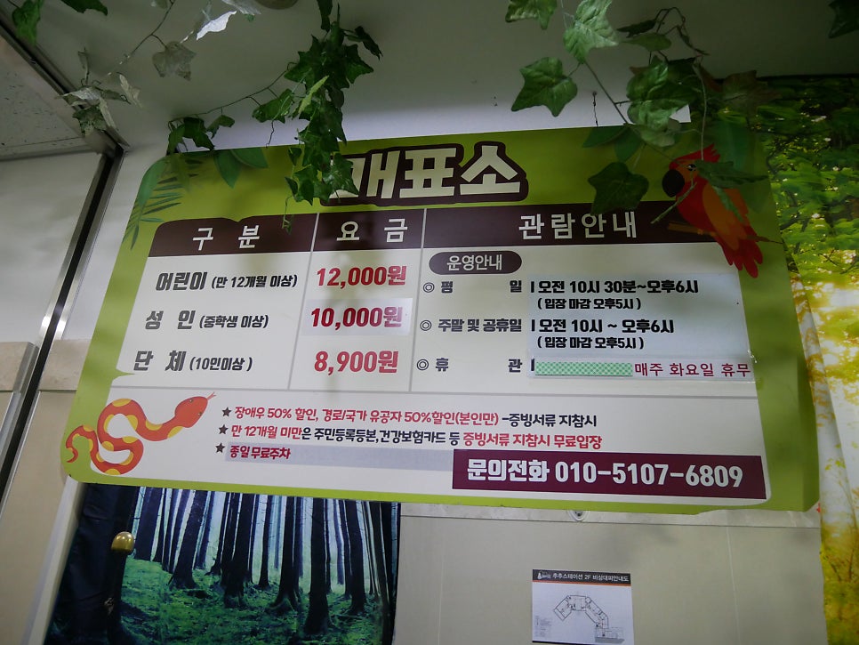 하이원추추파크 사진 3