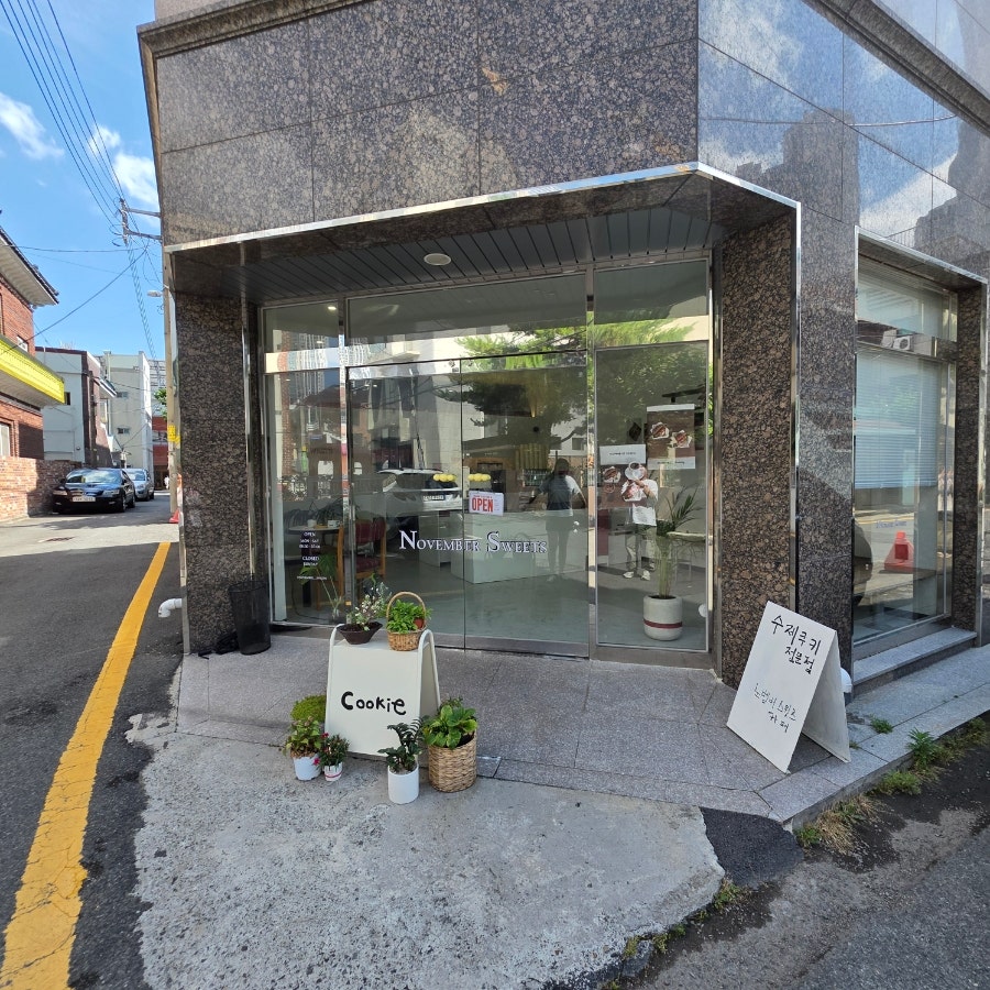 노벰버스위츠 사진 2